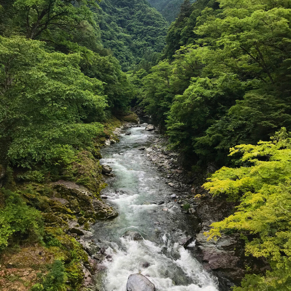 登竜橋から眺めた渓谷の様子