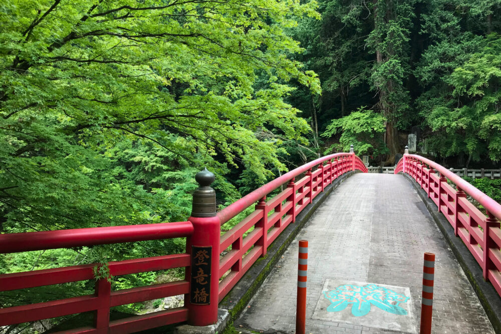 三峯神社の登竜橋と新緑の景色