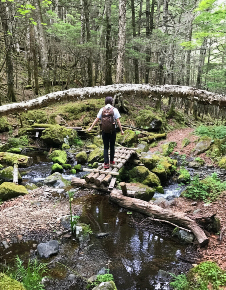 沢にかかる簡易な橋を渡る登山道の様子