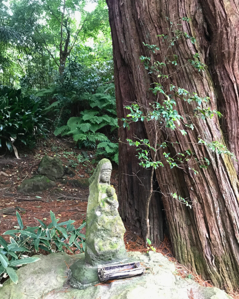 浄智寺境内の杉の木の根元に佇む石仏