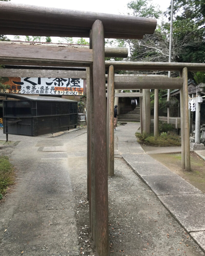 銭洗弁財天の境内に並ぶ鳥居