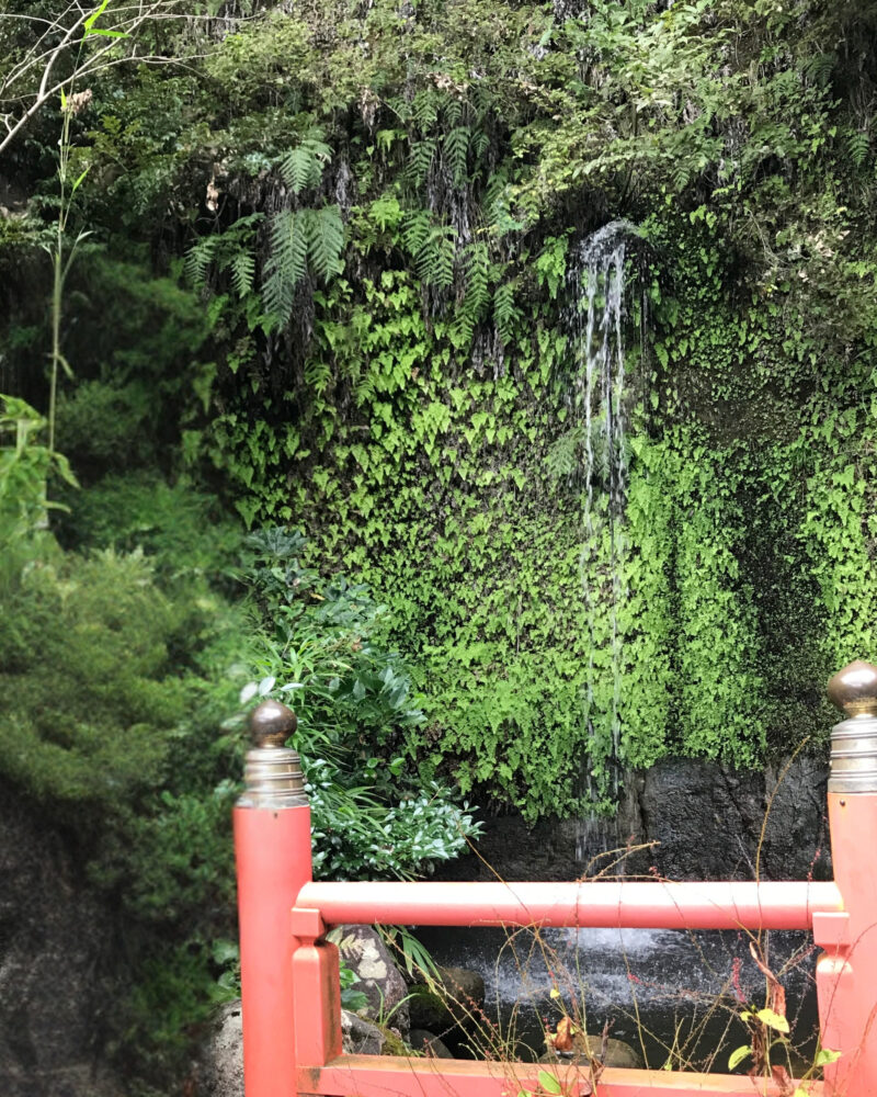 銭洗弁財天の下之水神宮の一条の滝