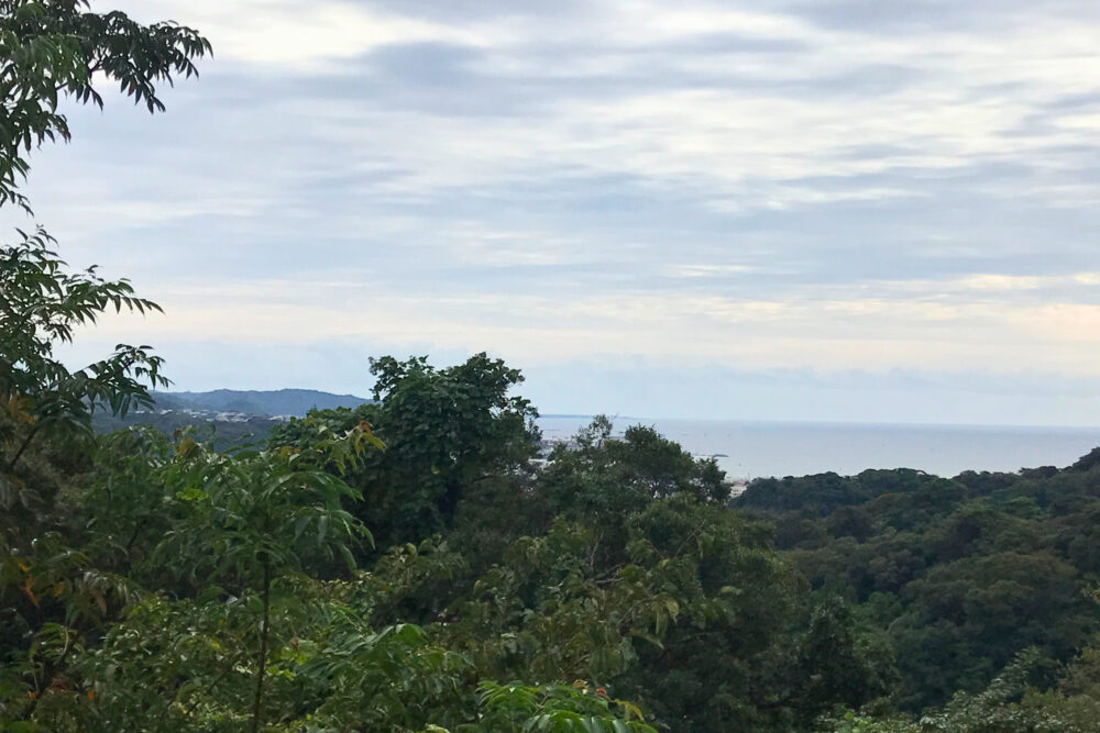 鎌倉の山道から望む海と街並み