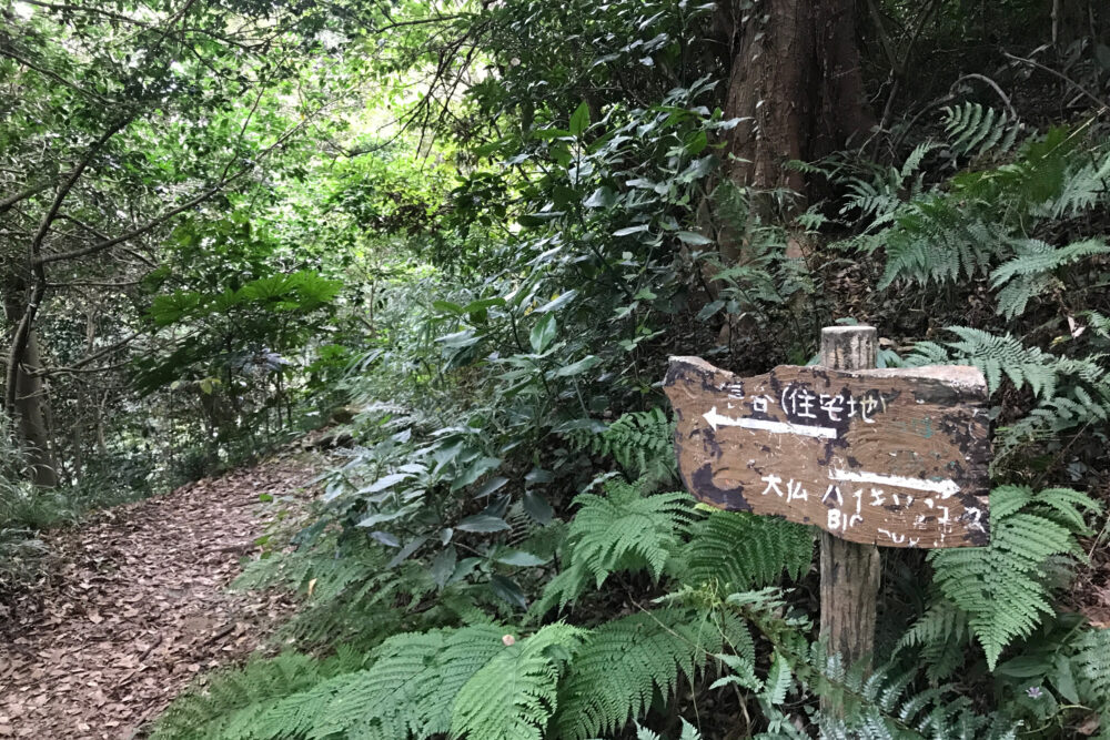 源氏山付近のハイキングコースにある分岐の案内板と山道の様子