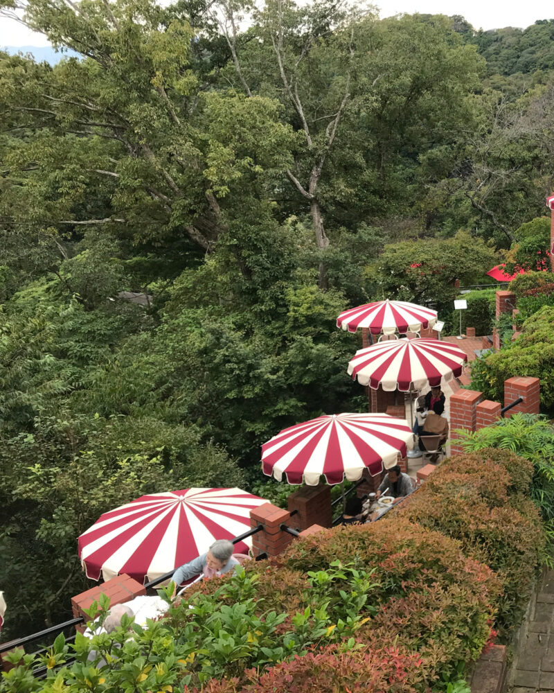 森に囲まれた斜面に広がるカフェのテラス席。