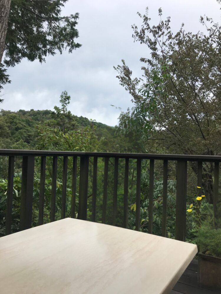 木々に囲まれたテラス席のテーブル越しに広がる山の景色。