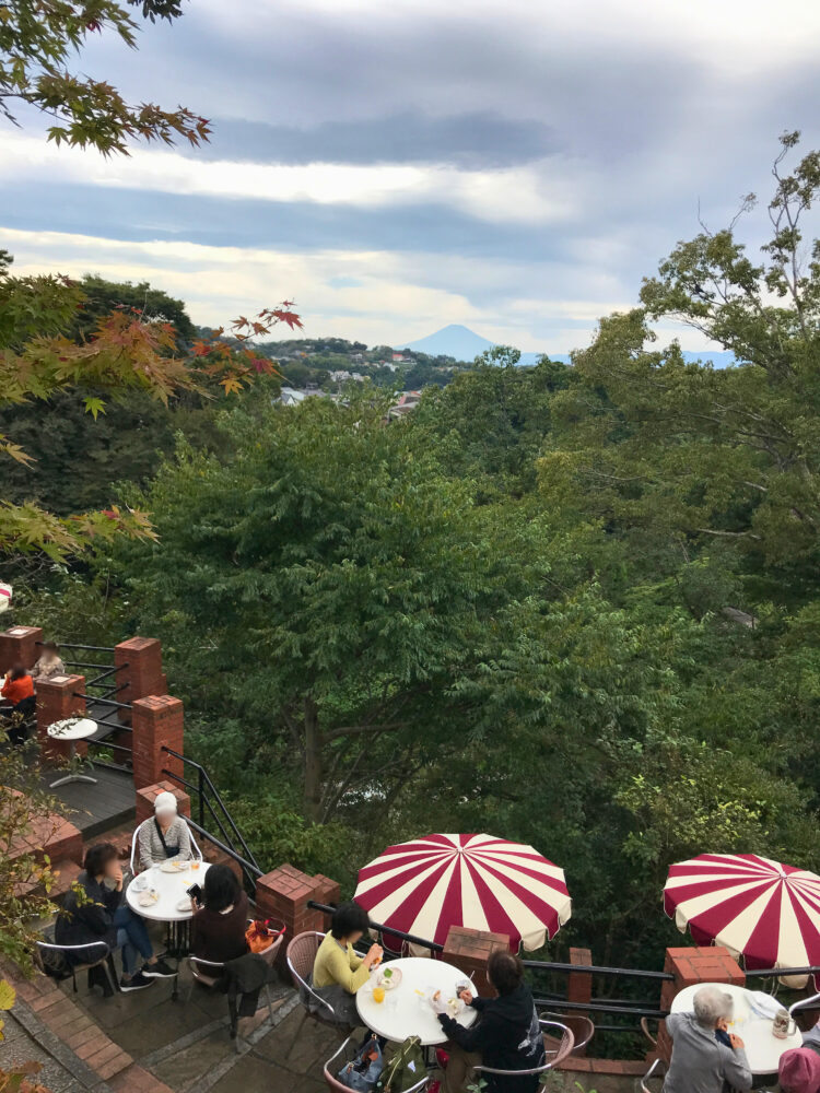 森に囲まれたテラスカフェの全景。