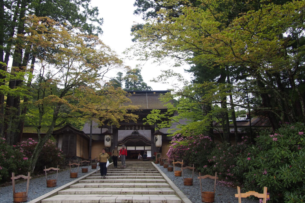 高野山金剛峯寺の表門と石段、周囲に杉林が広がる入口の風景