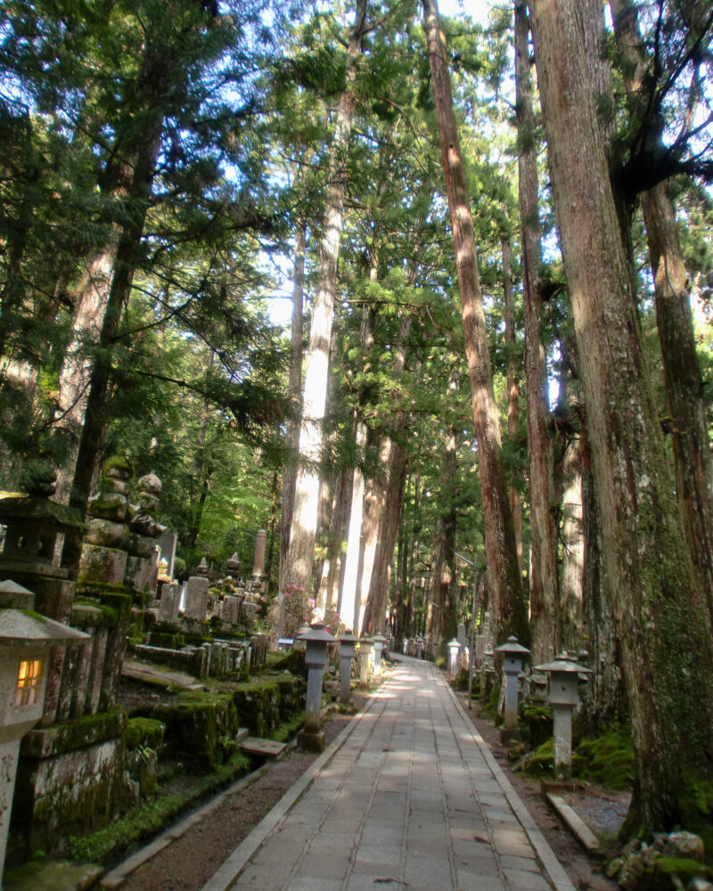 杉並木が続く奥之院の参道