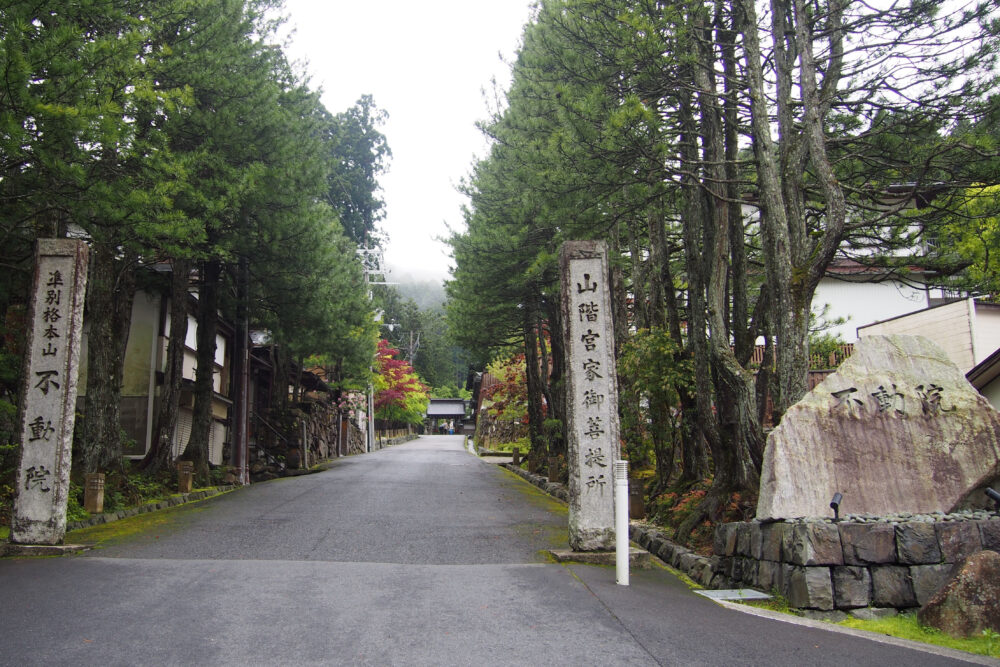 雨に濡れた高野山不動院の参道入口と石碑
