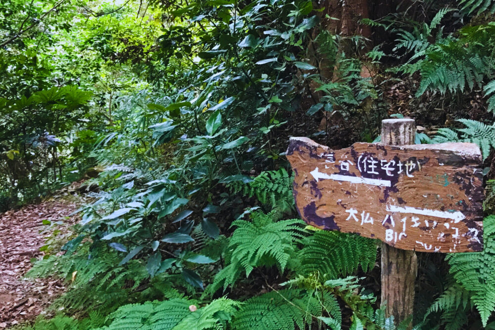 葛原岡から大仏へ向かう鎌倉ハイキングコースの山道と案内板