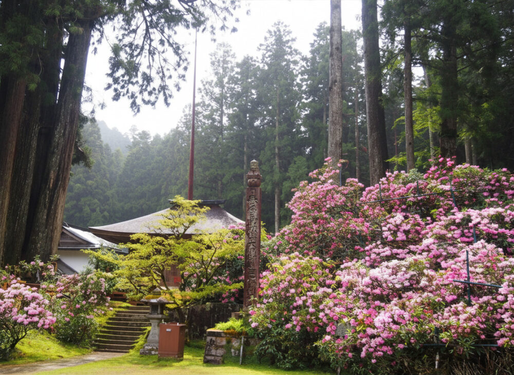 経蔵、四所明神社へ向かう登り階段。