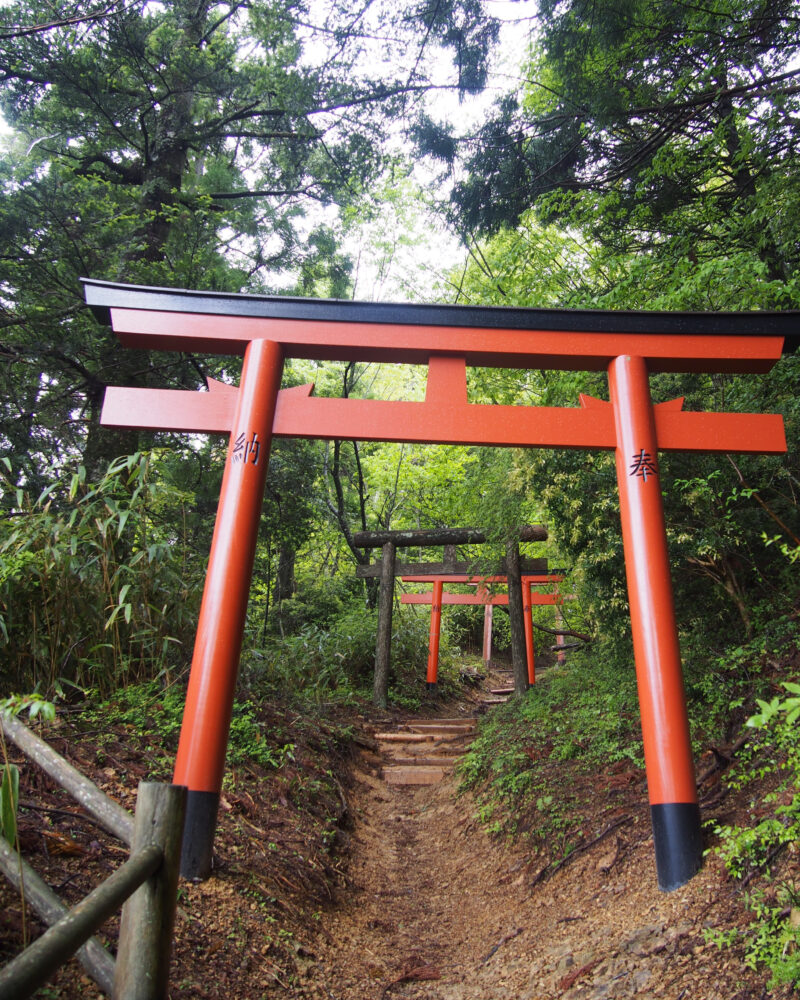 弁天岳へ続く赤い鳥居が連なる山道