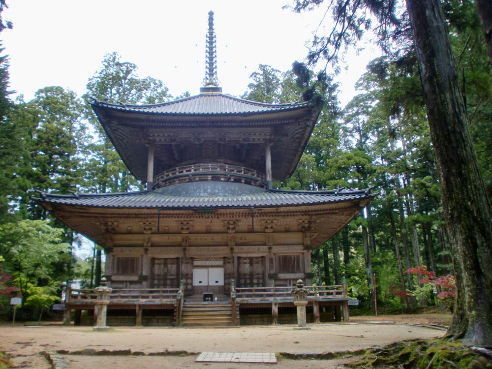 壇上伽藍 西塔 正面から見た全景