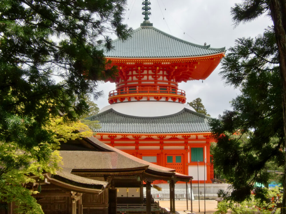 松の枝越しに見える朱塗りの根本大塔(高野山壇上伽藍)