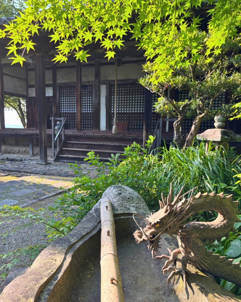 白毫寺の龍の手水鉢