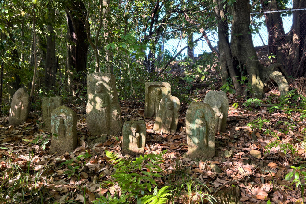 白毫寺境内の石仏が並ぶ小道