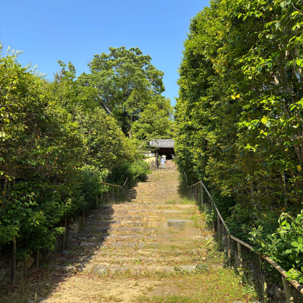 白毫寺へ続く石段