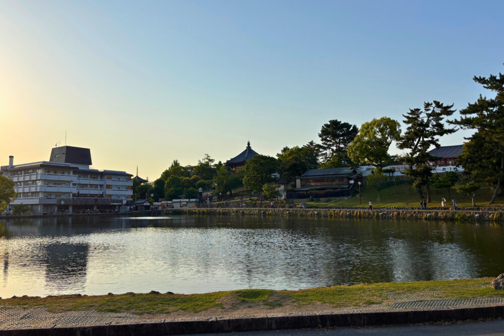 夕暮れの猿沢池