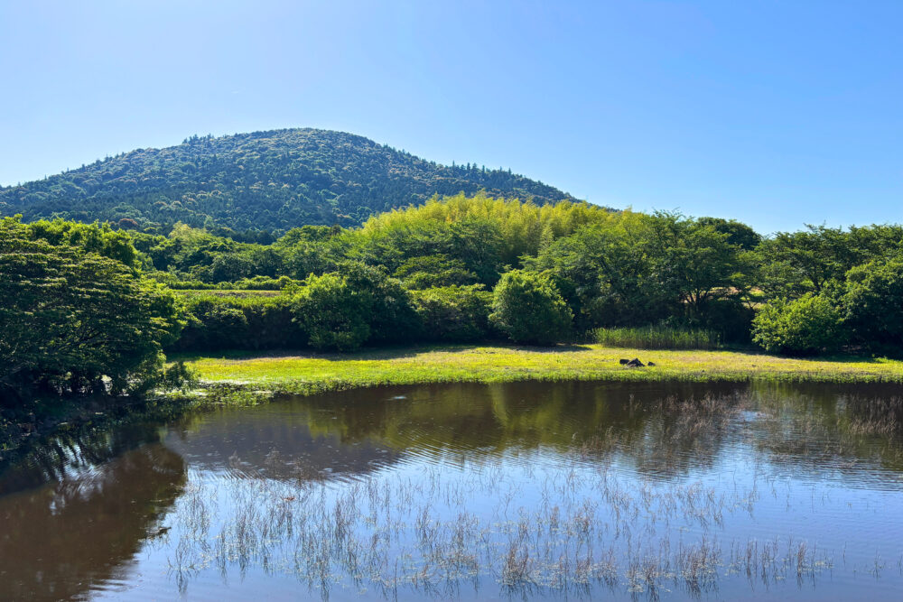 池の向こうに三輪山が見える風景