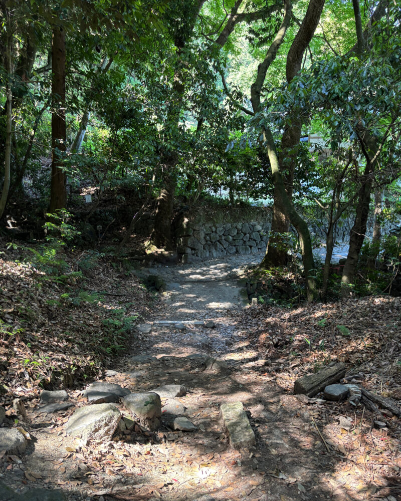 森の中を続く山の辺の道