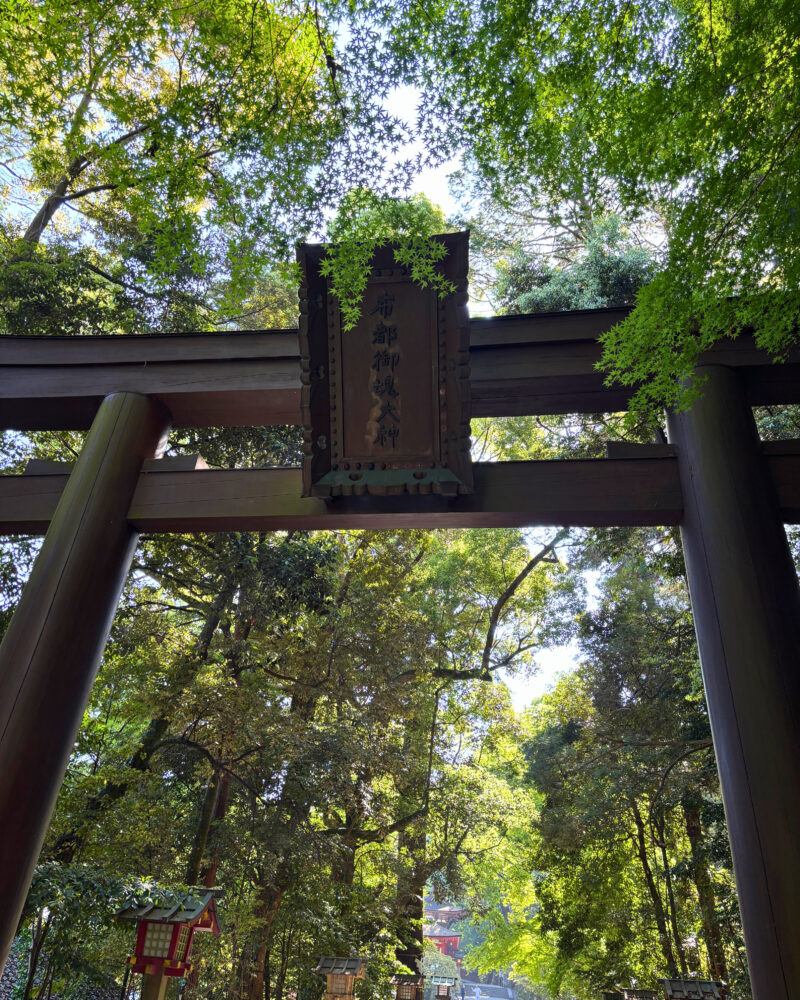 木々に囲まれた石上神宮の鳥居