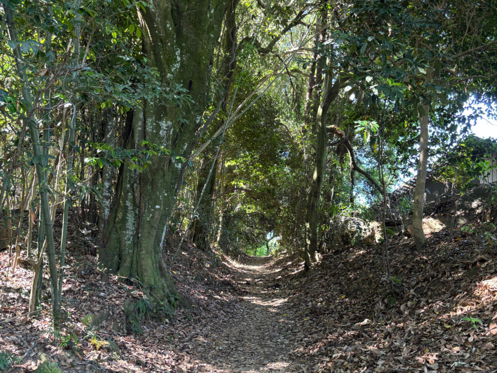 木々に囲まれた山の辺の道