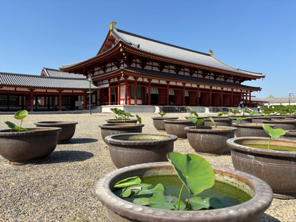 薬師寺の大講堂と蓮鉢