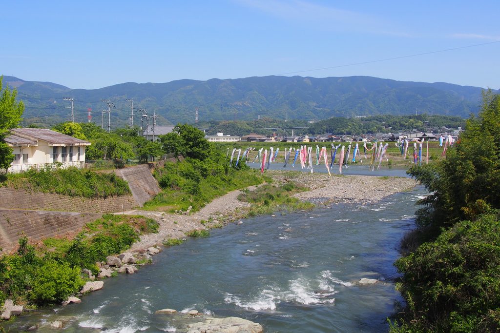 九度山を流れる丹生川とこいのぼり