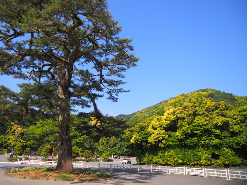 伊勢神宮内宮の入口から見える山と松の木
