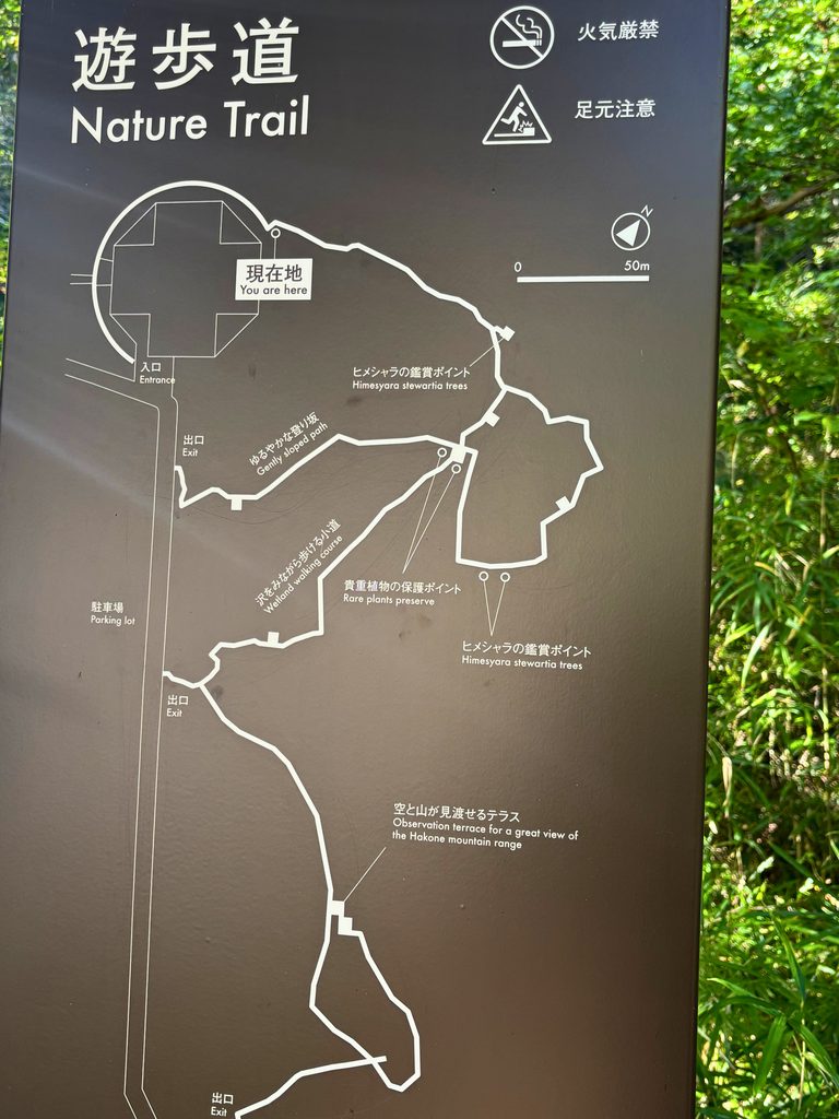 ポーラ美術館の森の遊歩道のルートを示す案内板