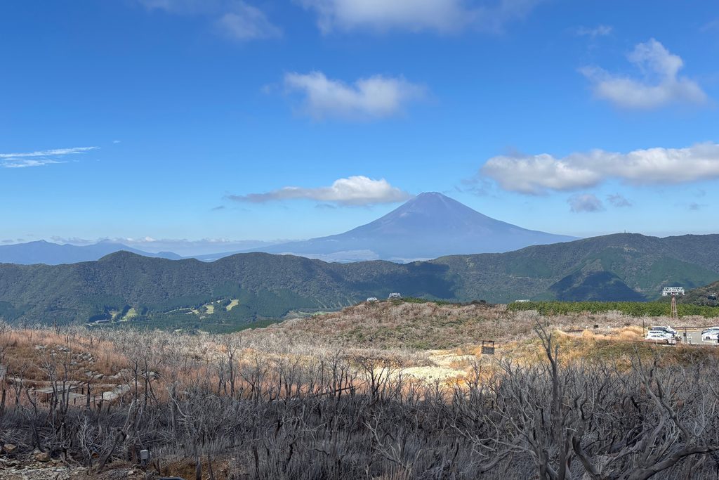 富士山を背景に広がる大涌谷の立ち枯れた木々