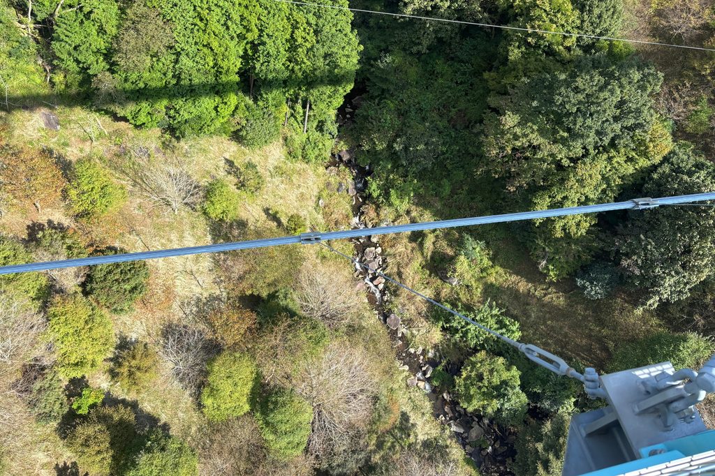 三島スカイウォークの吊り橋から見下ろす谷と川