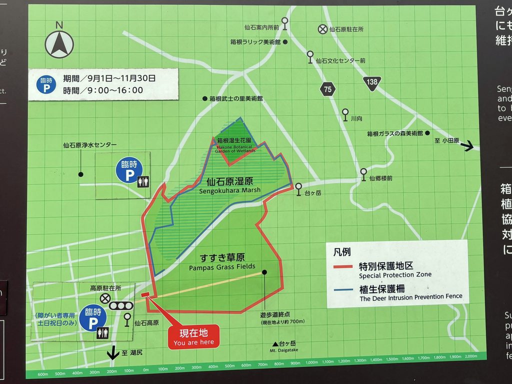 仙石原すすき草原の案内図