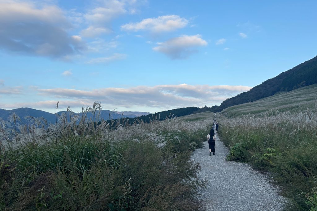 青空と山並みを背景に、すすき草原の中を続く散策路