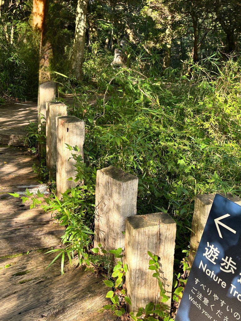 木々に囲まれたポーラ美術館の森の遊歩道入口