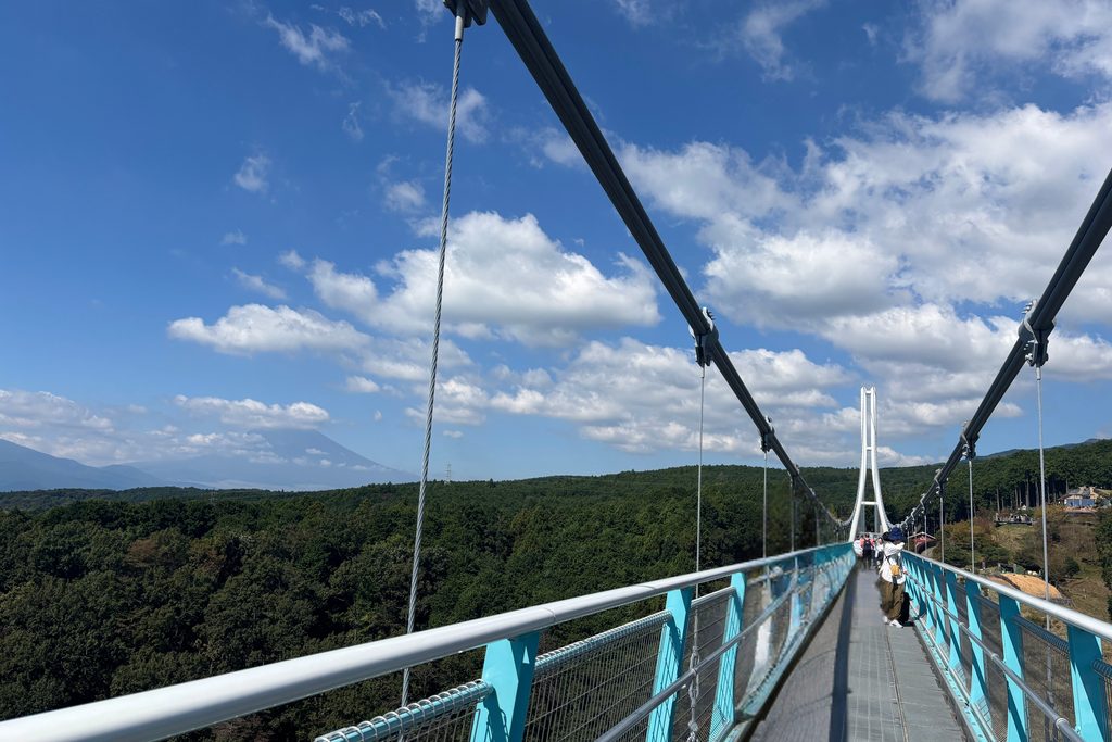 三島スカイウォークの橋上から見た、森に囲まれた吊り橋と山並み